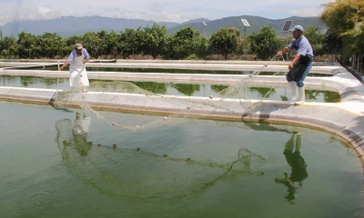 Se prevé la ejecución de 194 proyectos, distribuidos en 5 provincias / Foto: cortesía Ministerio de Energía