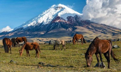 Los volcanes de Ecuador ofrecen mucho más que paisajes: senderismo, aguas termales, aventura, gastronomía y experiencias culturales transforman estos destinos en parte esencial de la oferta turística del país. Foto: Live Ecuador