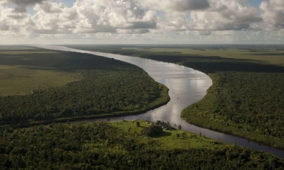 Muchas de estas áreas enfrentan amenazas crecientes por deforestación y degradación / Foto: cortesía The Nature Conservancy