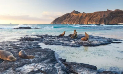 Noticias del Ecuador Medios Nacionales - 16 de Enero de 2023 / Foto: cortesía