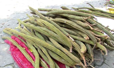 Desde horas de la mañana se pueden encontrar a las personas que venden la fruta. Foto: La Hora