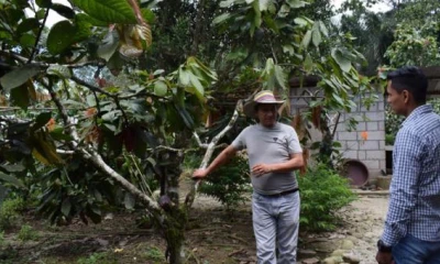 Rubén Sandoval, propietario de El Paraíso, muestra parte de sus cultivos. Foto: El Comercio