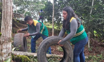 Se están eliminando criaderos de mosquitos en Paquisha, Nuevo Quito, Nankais y Yantzaza / Foto: cortesía Ministerio de Salud