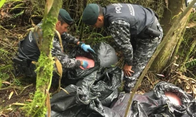 Droga decomisada por agentes de policía. Foto: Extra