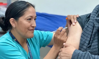 Ecuador no ha reportado casos de fiebre amarilla en 2025 / Foto: cortesía Ministerio de Salud