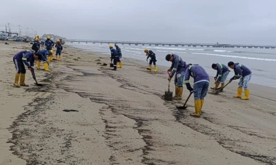 La zona afectada abarca en torno a un kilómetro de extensión/ Foto: cortesía MAATE