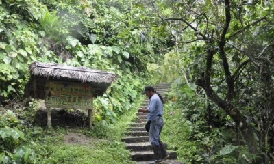 Ecuador está siempre en la lista de países más biodiversos del planeta. Foto: Expreso