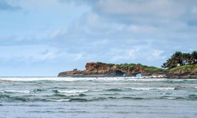 Estudio internacional verifica especies exóticas de plantas en la costa / Foto: EFE