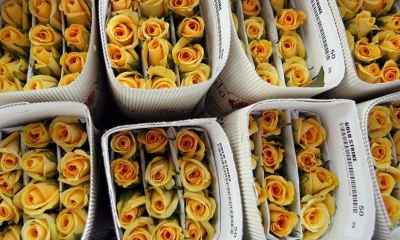 Los principales destinos fueron centros de carga en Estados Unidos y Europa / Foto: EFE