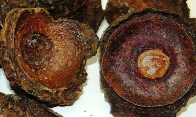 Se emplea en la elaboración de la colada morada / Foto: cortesía 