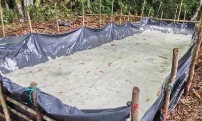 El hallazgo se realizó en el sector de la Mitad del Mundo, cantón Lago Agrio, provincia de Sucumbíos / Foto: cortesía Ejercito
