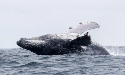 El ministro de Turismo recordó que esta temporada es también una época que dinamiza las economías locales / Foto: EFE