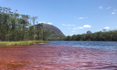 El Caño San Joaquín es un paraíso para los amantes de la naturaleza y la observación de aves en la amazonía colombiana. / Foto: X @valenframa