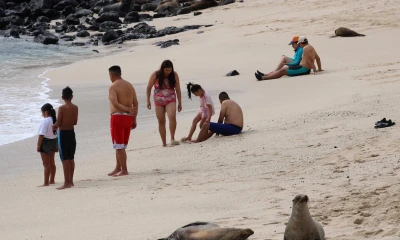 Más de dos millones de personas se movilizaron en el feriado / Foto: EFE