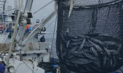 Su incremento "afectará la competitividad del Ecuador en mercados estratégicos como la Unión Europea" / Foto: cortesía 