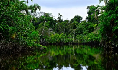 Resumen Medios Nacionales - 8 de septiembre de 2021/ Foto: Shutterstock 