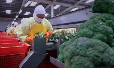 Banco Pichincha informó que ha canalizado alrededor de USD 2.500 millones hacia actividades agroproductivas / Foto: cortesía MAGP