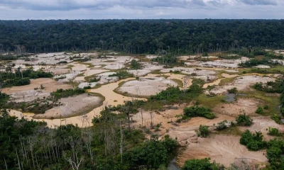 Esta situación expone a miles de trabajadores a condiciones laborales precarias / Foto cortesía Diego Pérez  SPDA