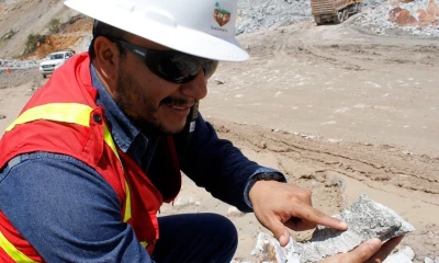 El sector solo es superado por productos como petróleo o camarón / Foto: cortesía Ministerio de Energía