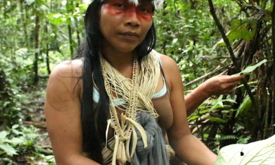 Foto: Mongabay