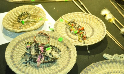 La chambira, planta aprovechada en la Amazonía - Foto: La Hora