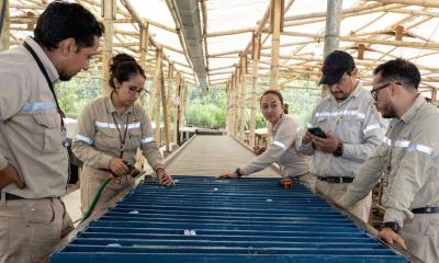 La minera australiana SolGold iniciará en 2026 las obras tempranas de su proyecto Cascabel / Foto: cortesía