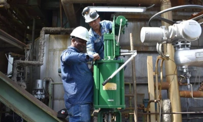 En las labores participaron alrededor de 110 trabajadores locales contratados de forma temporal / Foto: cortesía Celec