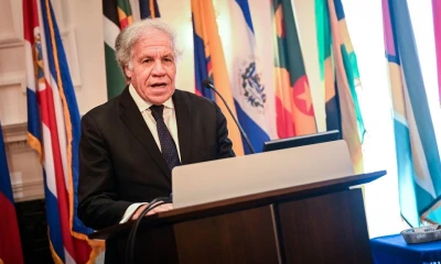 "La seguridad de los candidatos es fundamental para mantener la confianza en el sistema democrático y asegurar que las voces de todos los ciudadanos puedan ser escuchadas de manera libre y sin temor" / Foto: cortesía