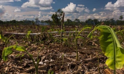 Solo el 34 % de las tierras agrícolas en Perú tienen títulos de propiedad / Foto: cortesía Oxfam
