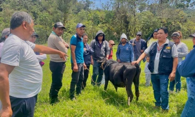 Los participantes aprendieron a evaluar la condición corporal del ganado bovino mediante la observación de características físicas / Foto: cortesía MAGP