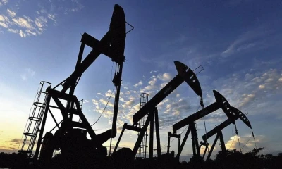 La AIE calcula que el consumo de petróleo aumentará este año en 730.000 barriles diarios respecto a 2024 / Foto: cortesía