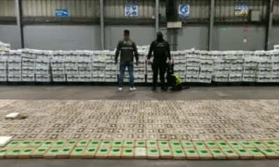 Entre las cajas de fruta apiladas dentro del contenedor se hallaron un total de 720 paquetes rectangulares de cocaína, de aproximadamente un kilo de peso cada uno/ Foto: Cortesía EFE