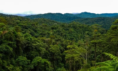 El Refugio de Vida Silvestre El Zarza juega un papel crucial en garantizar la calidad y cantidad de agua en la región / Foto: cortesía
