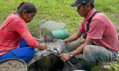 El uso de insumos orgánicos para la agricultura es promovido en Napo / Foto: cortesía Ministerio de Agricultura