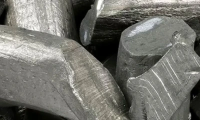 La compañía aumentó su cotización en un día más del 93 % / Foto: cortesía 