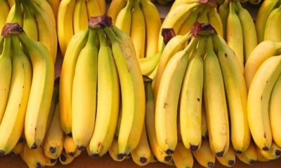 Principales noticias de Ecuador hoy - 12 de septiembre de 2025 / Foto: cortesía Camae