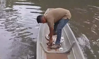 El episodio afecta cerca de diez kilómetros del río / Foto: cortesía Ecuavisa