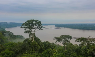 Dentro del Yasuní habitan los tagaeri, taromenane, dugakaeri, wiñatare y otros linajes / Foto: El Oriente