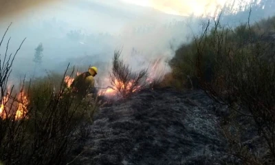 Cortesía Bomberos Quito