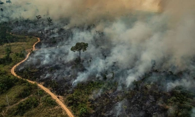 Foto: The Washington Post