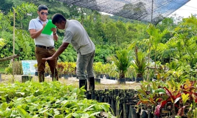 El MAG ha realizado 26 operativos en Napo durante el primer trimestre de 2025 / Foto: cortesía MAG