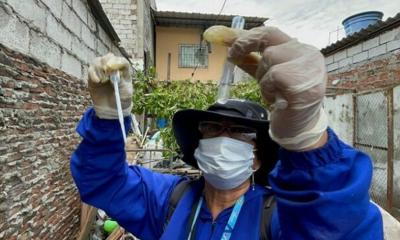 Manabí es la provincia más afectada por el dengue con 2.626 casos / Foto: cortesía Ministerio de Salud