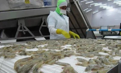 Principales noticias de Ecuador hoy - 11 de febrero de 2026 / Foto: cortesía Camae