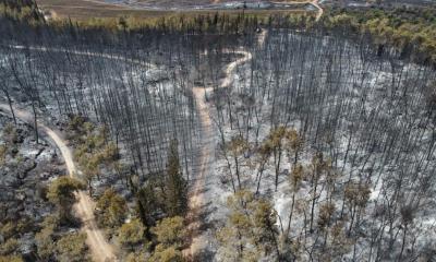 La emergencia ha dejado al menos 2.000 hectáreas quemadas / Foto: EFE
