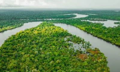 Esta área protegida cuenta con más de 58 mil hectáreas / Foto: cortesía Andina