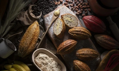 La mayoría de cultivos se encuentran en el Litoral y en la Amazonía ecuatoriana. Los Ríos representa 28 % de las más de 590.579 hectáreas / Foto: cortesía ministerio de Turismo