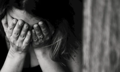 El proyecto inició en febrero de 2024 / Foto: cortesía Meganoticias