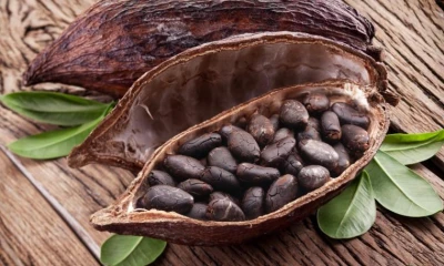 Foto: Muy Interesante