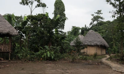 Sarayaku tiene una población de 1.500 personas repartidas en 144.000 hectáreas de su territorio ancestral / Foto: El Oriente