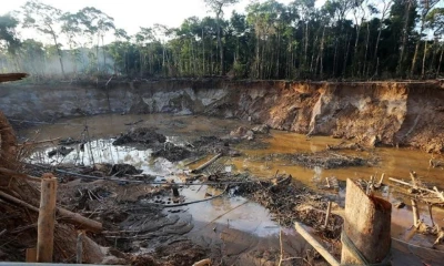En zonas de alta biodiversidad, ya se reportan bosques deforestados y presencia creciente de campamentos mineros / Foto: cortesía